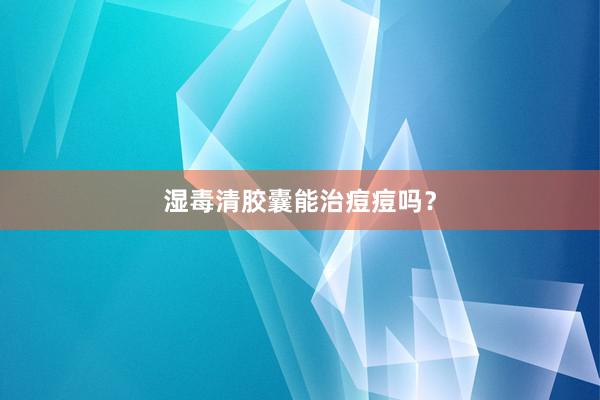 湿毒清胶囊能治痘痘吗？