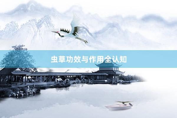 虫草功效与作用全认知